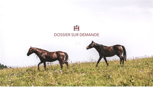 propriete equestre à la vente -   50230  AGON COUTAINVILLE, surface 210 m2 vente propriete equestre - UBI471238970